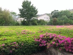 -苏州环秀晓筑养生度假村