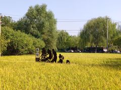 -北坞公园