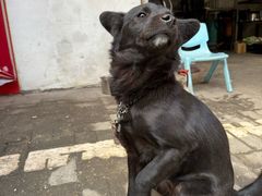 -小吴水煮(羊子巷店)