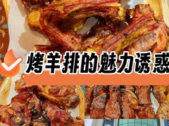 -宝山一号馕坑肉