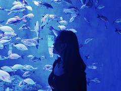 -成都浩海立方海洋公园