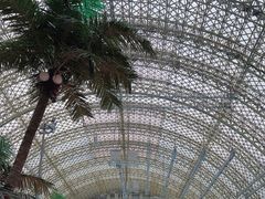 -环球中心海洋乐园