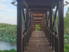 -同里国家湿地公园