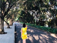 -大湾区中央湿地公园