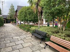 -金山农民画村-枫泾波兰倒置屋