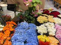 -双季花艺园艺市场(浦东店)