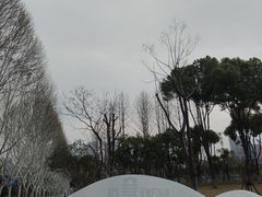 -后襄河公园