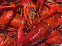 -星伦多 自助料理(圆融店)