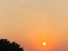 -美味之家·湖景农家乐(太湖东山店)