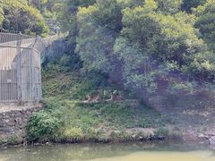 -宁波野生动物园
