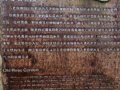 -都江堰玫瑰花溪谷