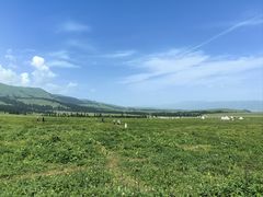 -新疆那拉提国家旅游度假区