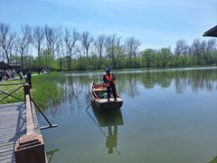 -溱湖国家湿地公园