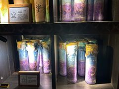 -雪灵魔法世界SHELLY’S TAROT(大良桂畔里店)