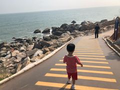 -广东惠东海龟国家级自然保护区