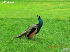 照片-西昌邛海宾馆