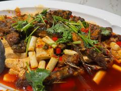 -锦庐道地川菜(来福士店)