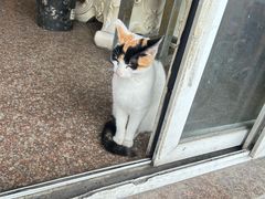 -申普宠物医院·眼科·心内科·影像科(普陀分院)