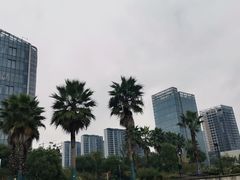 -金沙湖公园