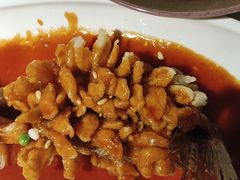 -苏乡兰亭·新派淮扬菜(吾悦广场店)