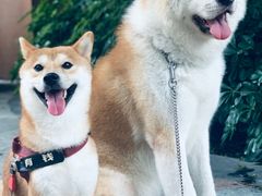 -YCHL Studios健身工作室(市二宫店)