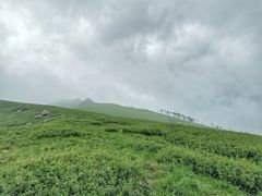 -秦岭风景区