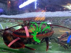 -桥东喜碧海鲜街(水东街店)