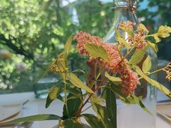 -春树下·树屋花房西餐厅(罍街AS1980店)