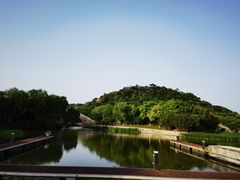 -绍兴镜湖国家城市湿地公园