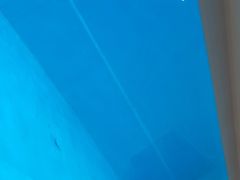 -上海潜殿潜水中心