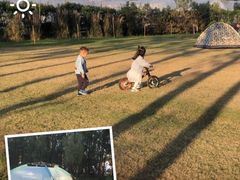 -前小桔亲子创意农场·草莓采摘·露营烧烤