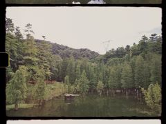 -广州市帽峰山景区