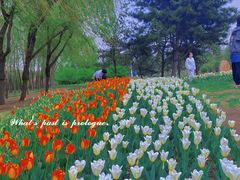 -长春公园(普阳街道)