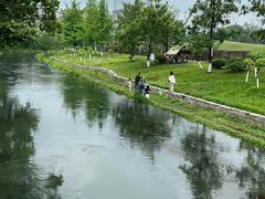 -两河城市森林公园