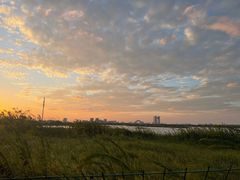 -南汇嘴观海公园