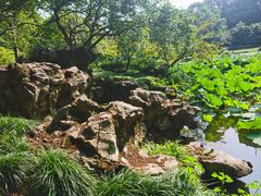 -杭州植物园