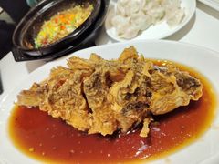 老济南糖醋鲤鱼-金春禧·鲁菜海鲜(延吉路万达店)