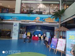 -江和美海洋公园