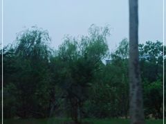 -四里河滨水生态公园