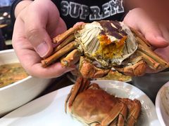 大闸蟹-必点海鲜·鲅鱼水饺(鞍山西道店)