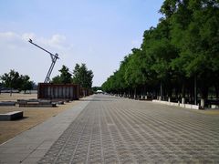 -大明宫国家遗址公园·御道广场