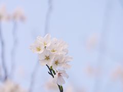 -东湖磨山景区