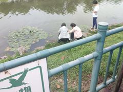 -美兰湖景区