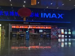 -农垦博纳国际影城(津奥广场IMAX店)