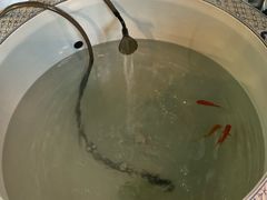 -有才叔的小馆(招商依云曲江店)