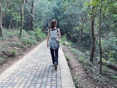 -紫金山山顶公园