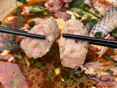 -芙蓉树下冒菜·麻辣烫(农院店)