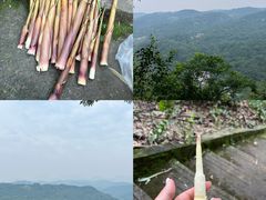 -都江堰普照寺
