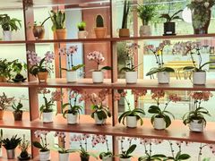 -二酉书店TOYOU BOOKS