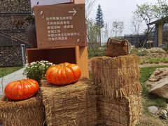 -中国天府农业博览园